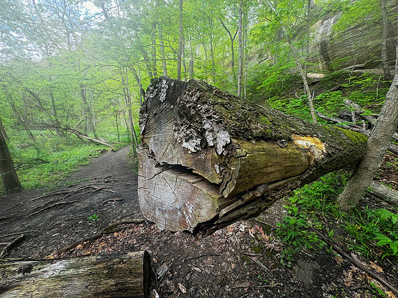Starved Rock State Park, IL
