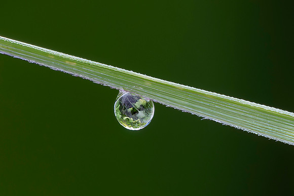 Single Drop, Lisle, IL