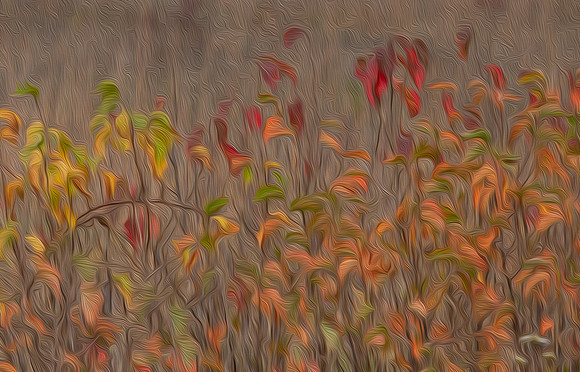 Autumn, Lisle, IL