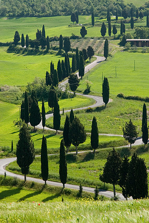 Tuscan Road, Italy