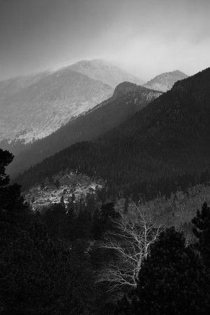 Overlook, Rocky Mountain National Park, CO