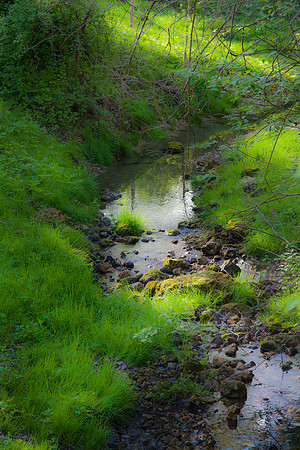 Banks of the Stream