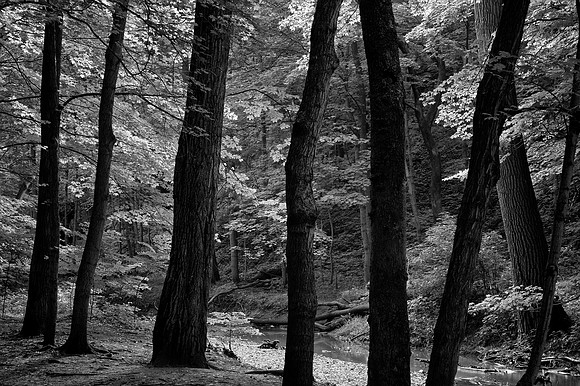 Starved Rock State Park, IL