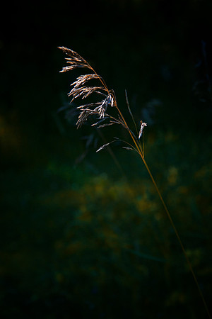 Last Light, Stockton, IL