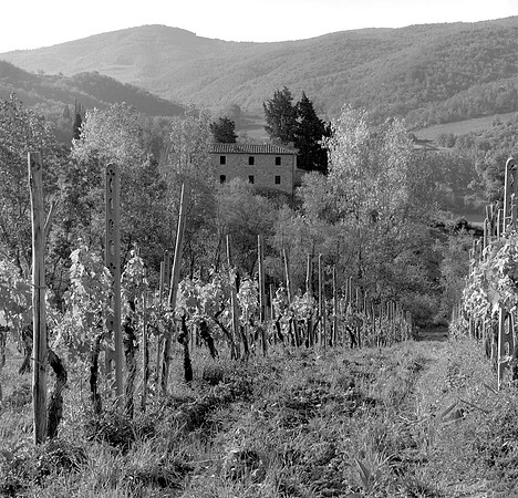 Villa Rosa, Tuscany, Italy