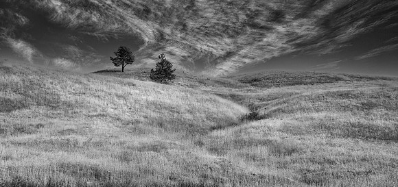 Hillside, Wind Cave National Park, SD
