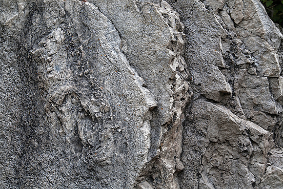 Rock, Roughlock Falls, Spearfish Canyon, SD