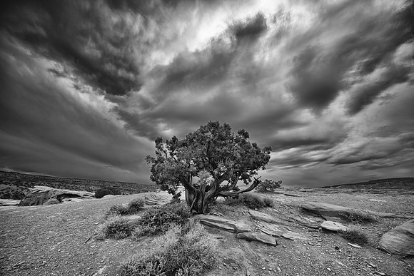 Clouds at Dusk, Capitol Reef National Park, UT
