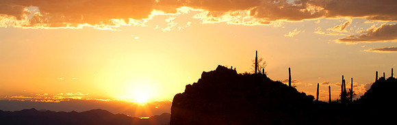 Saguaro National Park, Arizona