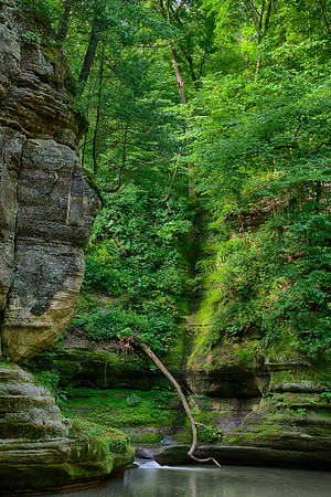 Starved Rock State Park, IL