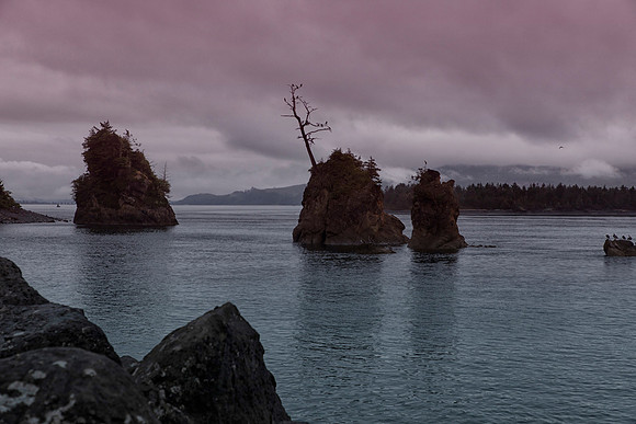 Cormorants at Three Graces, Rockaway Beach, Barview, OR