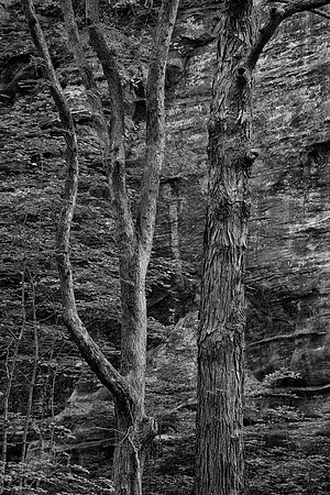 Starved Rock State Park, IL