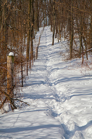Path and Fence, Winter, Stockton, IL
