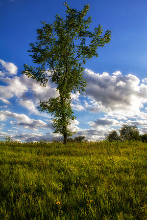 Upper Meadow, Stockton, IL