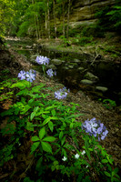 Matthiessen State Park, IL