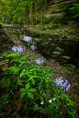 Matthiessen State Park, IL