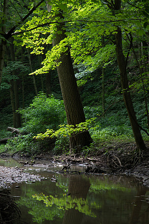 Starved Rock State Park, IL