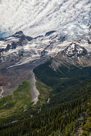 Emmons Glacier Overlook, Burroughs Mountain Trail, Mt. Rainier National Park, WA
