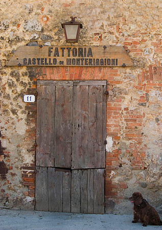 Waiting for the Butcher, Monteriggioni, Italy