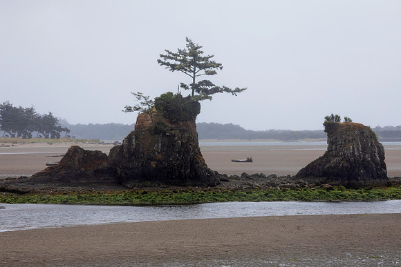 Low Tide, Lincoln City, OR