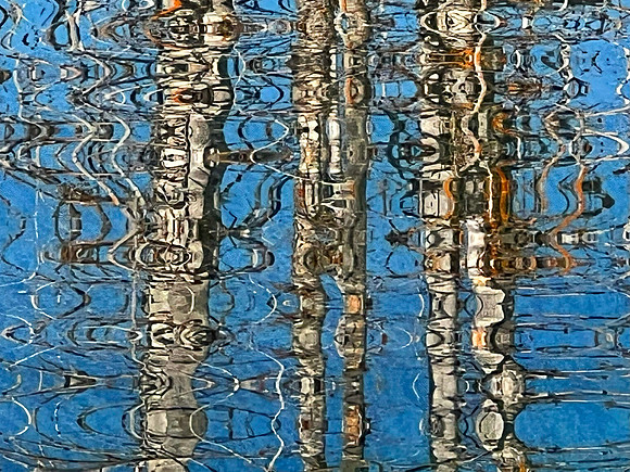 Aspen Reflections, Yellowstone National Park, WY